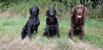20180809_152141.jpg