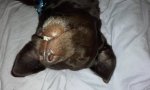 20171026_160745.jpg
