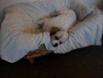 SAM_4715.JPG