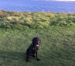 6F35EE62-6DF8-4069-8198-DB6A103C7D02.jpeg 6F35EE62-6DF8-4069-8198-DB6A103C7D02.jpeg