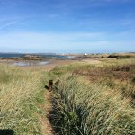 1B17697D-DFF2-4B5D-AFD7-2FEE16530C95.jpeg 1B17697D-DFF2-4B5D-AFD7-2FEE16530C95.jpeg