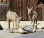 Screenshot 2018-09-25 20.50.33.png