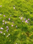 IMG_20191012_102617.jpg