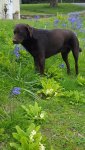 20170505_112759-1.jpg