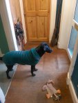 IMG_20191013_161851.jpg