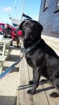 IMG-20191017-WA0001.jpg IMG-20191017-WA0001.jpg
