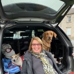 28B98A41-EB02-4386-A4A8-B562FCA5AAFD.jpeg 28B98A41-EB02-4386-A4A8-B562FCA5AAFD.jpeg