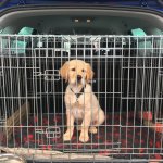 1271FA4A-1C69-49F3-A43E-05249DD9DD30.jpeg 1271FA4A-1C69-49F3-A43E-05249DD9DD30.jpeg