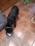 IMG_20191028_191530.jpg