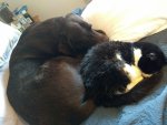 IMG_20191101_102720577.jpg