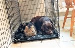 stol and benson (2).jpg