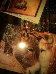 IMG_20191220_201959.jpg