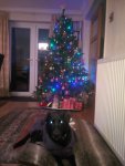 IMG_20191223_163744.jpg