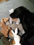 IMG_20200123_200401.jpg