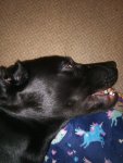 IMG_20200123_212307.jpg