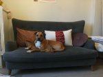 Couch.JPG