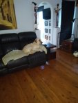 IMG_20200208_102057699.jpg