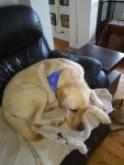 IMG_20200216_165044239.jpg