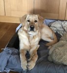 65BF782E-07C9-4426-AC8B-ACB30ACE4332.jpeg 65BF782E-07C9-4426-AC8B-ACB30ACE4332.jpeg