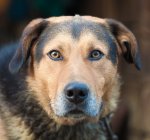 what am I saying.jpg