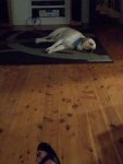 IMG_20200229_214137010.jpg