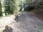SAM_8563.JPG SAM_8563.JPG