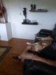 IMG_20200323_162836989.jpg