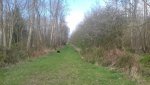 20200408_101303.jpg
