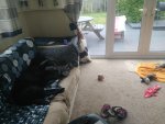 IMG_20200412_191949.jpg