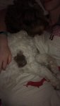 C14811DB-111B-4EF0-89BB-8DEE0035F185.jpeg