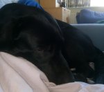 IMG_20200602_094322~2.jpg