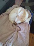 IMG_20200603_093204644.jpg