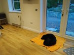 IMG_20200701_212534.jpg