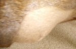 IMG_20200703_105847~2.jpg
