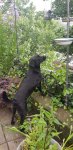 20200704_160529.jpg