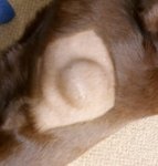 IMG_20200709_113709~2.jpg