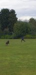 20200711_144850.jpg