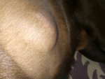IMG_20200717_093728.jpg
