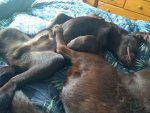 IMG_20200801_115802887.jpg