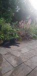 20200806_205652.jpg