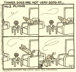 1597469640436.png