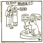 1597638842893.png
