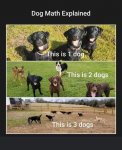 FB_IMG_1597780616678.jpg
