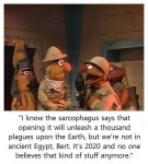 FB_IMG_1597933626747.jpg