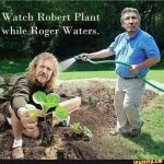 FB_IMG_1598291019626.jpg