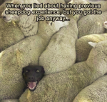 1598334963087.png