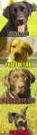 1598416956237.png