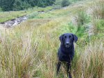 20200828_132057.jpg