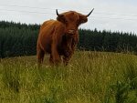20200829_105508.jpg