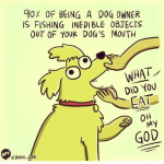 1598848712226.png